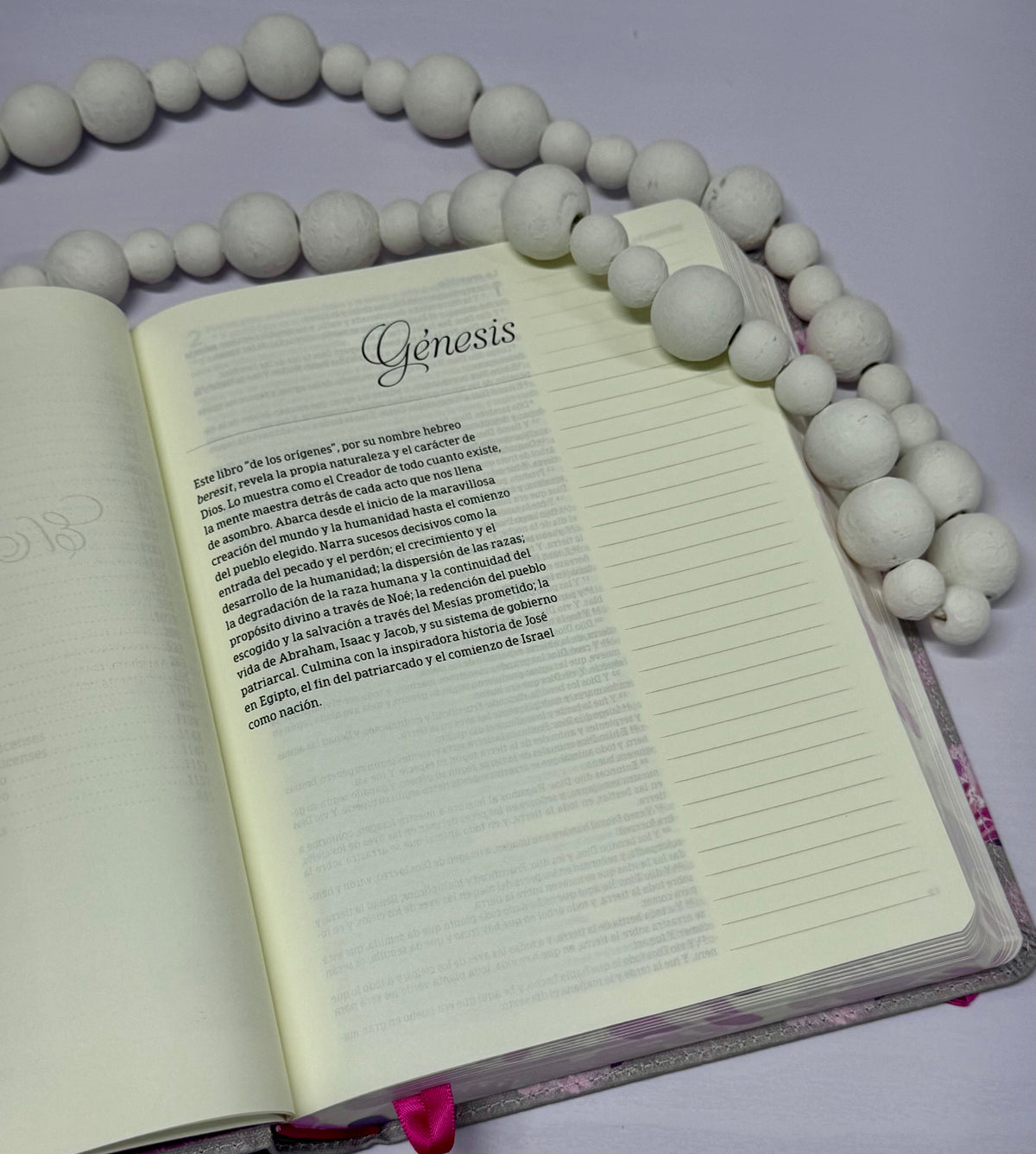RVR 1960 Biblia de Apuntes — Gris y Floreado | Tapa Dura
