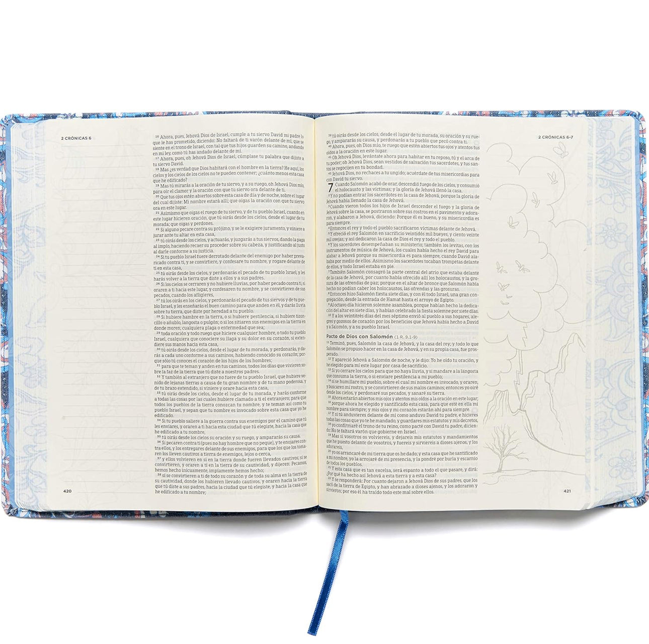 Biblia Reina Valera 1960 de apuntes ( Ilustrada )