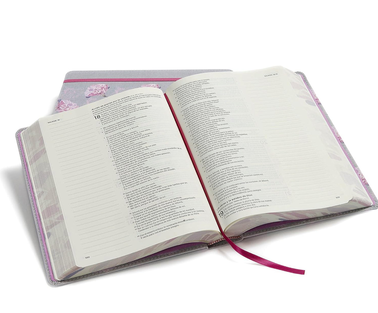 Biblia Reina Valera 1960 de apuntes