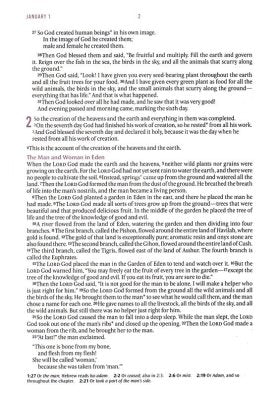 NLT Holy Bible Everyday Devotional Bible for Women New Living Translation
