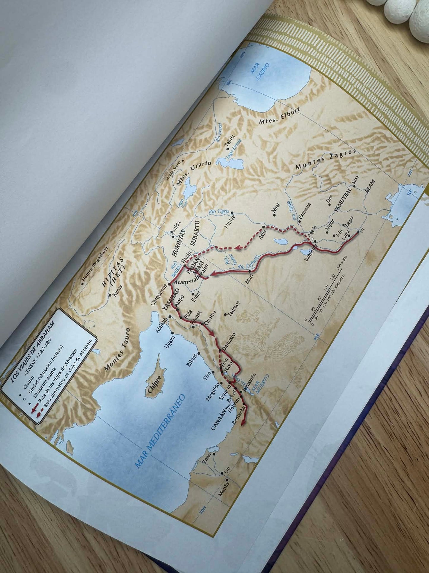 Biblia de estudio para mujeres RVR 1960