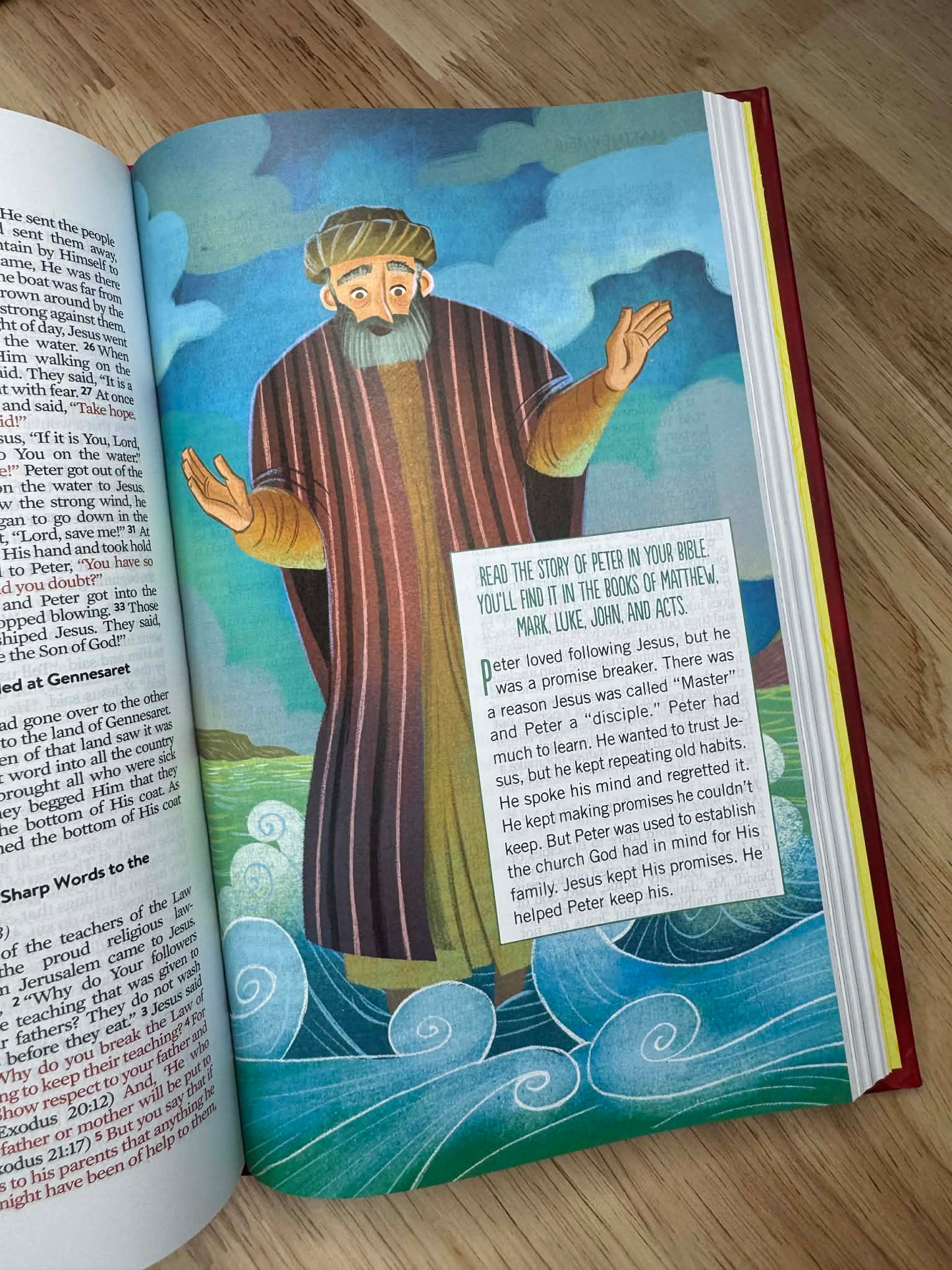 Brave Boys Devotional Bible