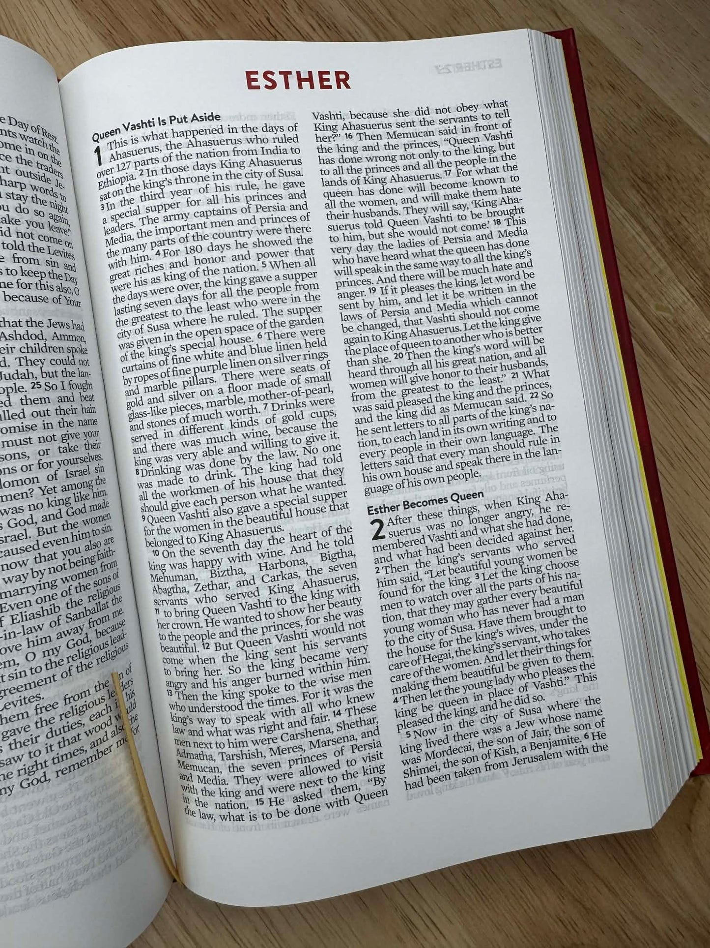 Brave Boys Devotional Bible