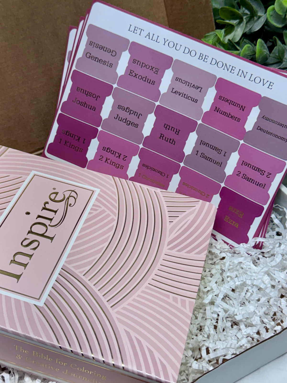Inspire Bible Gift Box for Women | Christian Bible Gift | Christian Blessing Box | Faith-Filled Gift