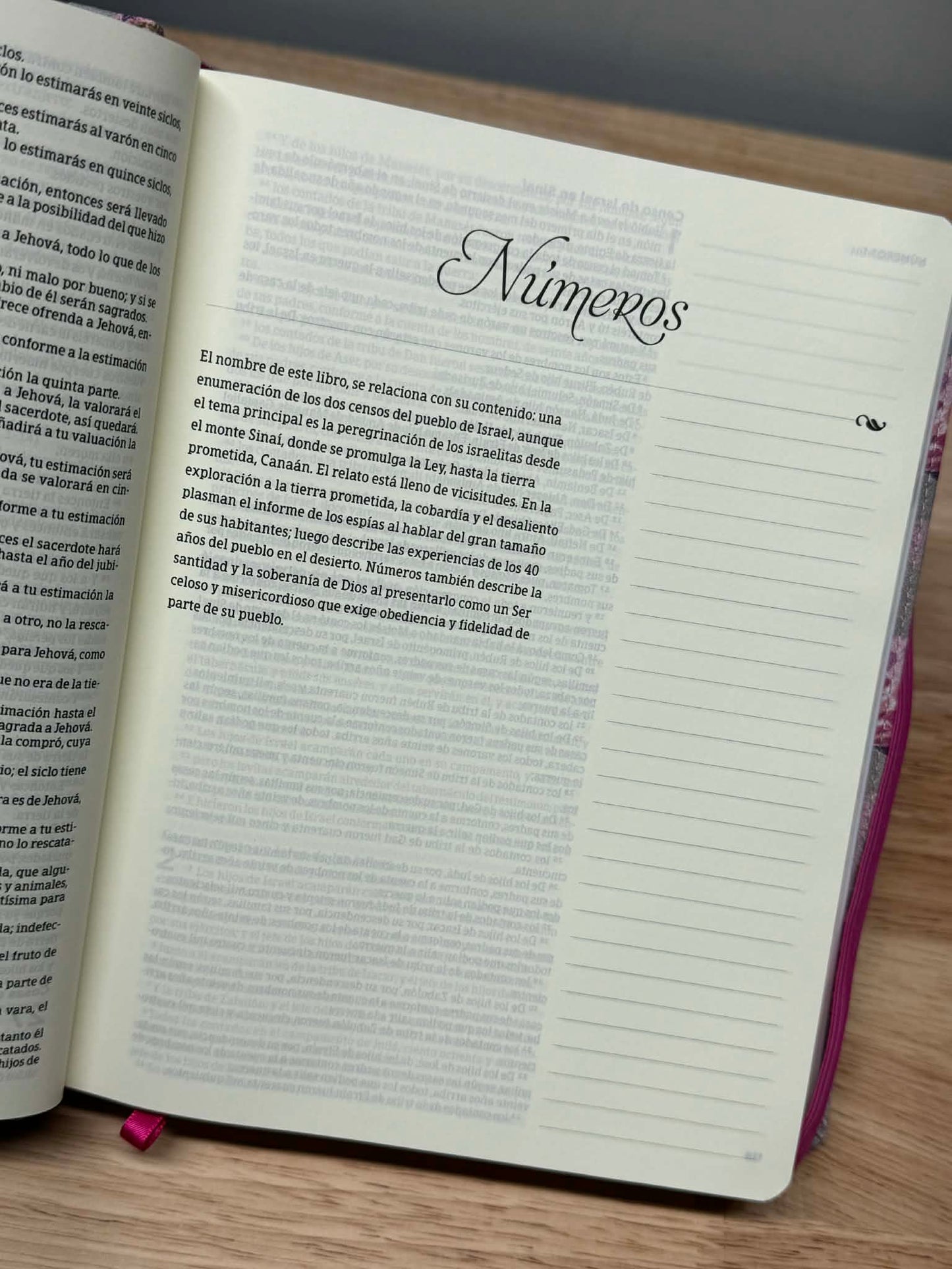 Biblia Reina Valera, de apuntes (Bolso Biblia Gratis)