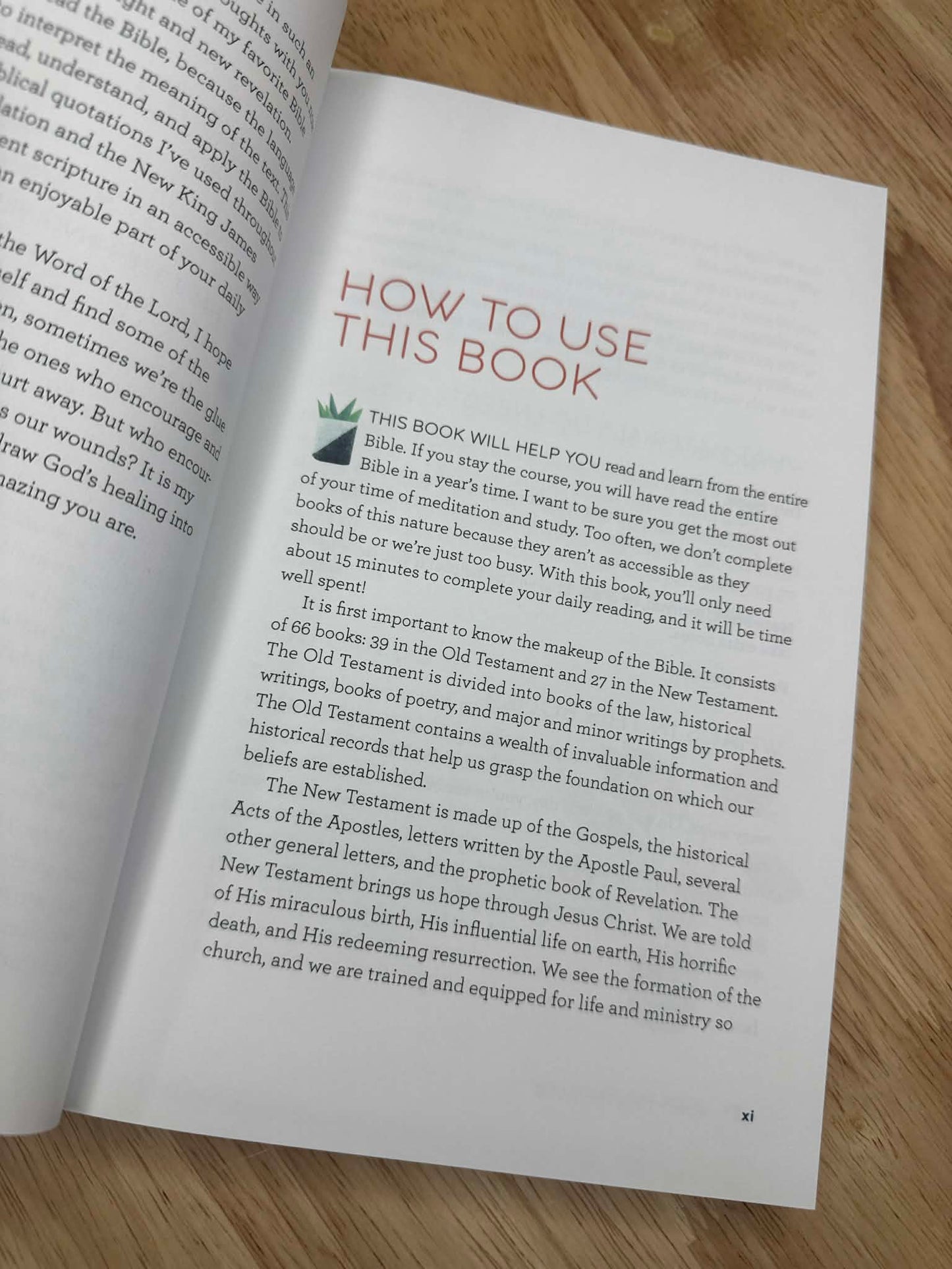 The Bible in 52 Weeks: A Yearlong Bible Study for Women