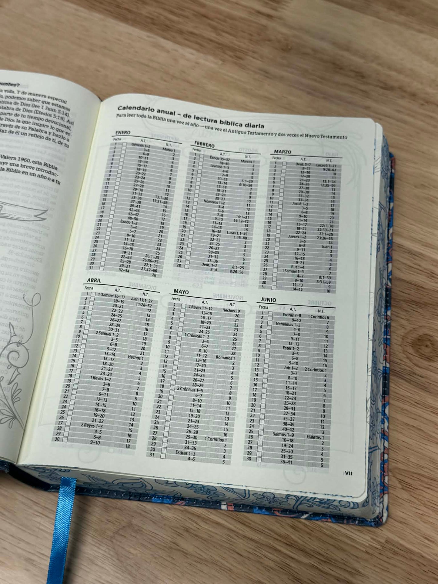 Biblia Reina Valera 1960 de apuntes ( Ilustrada ) Con Cartera GRATIS