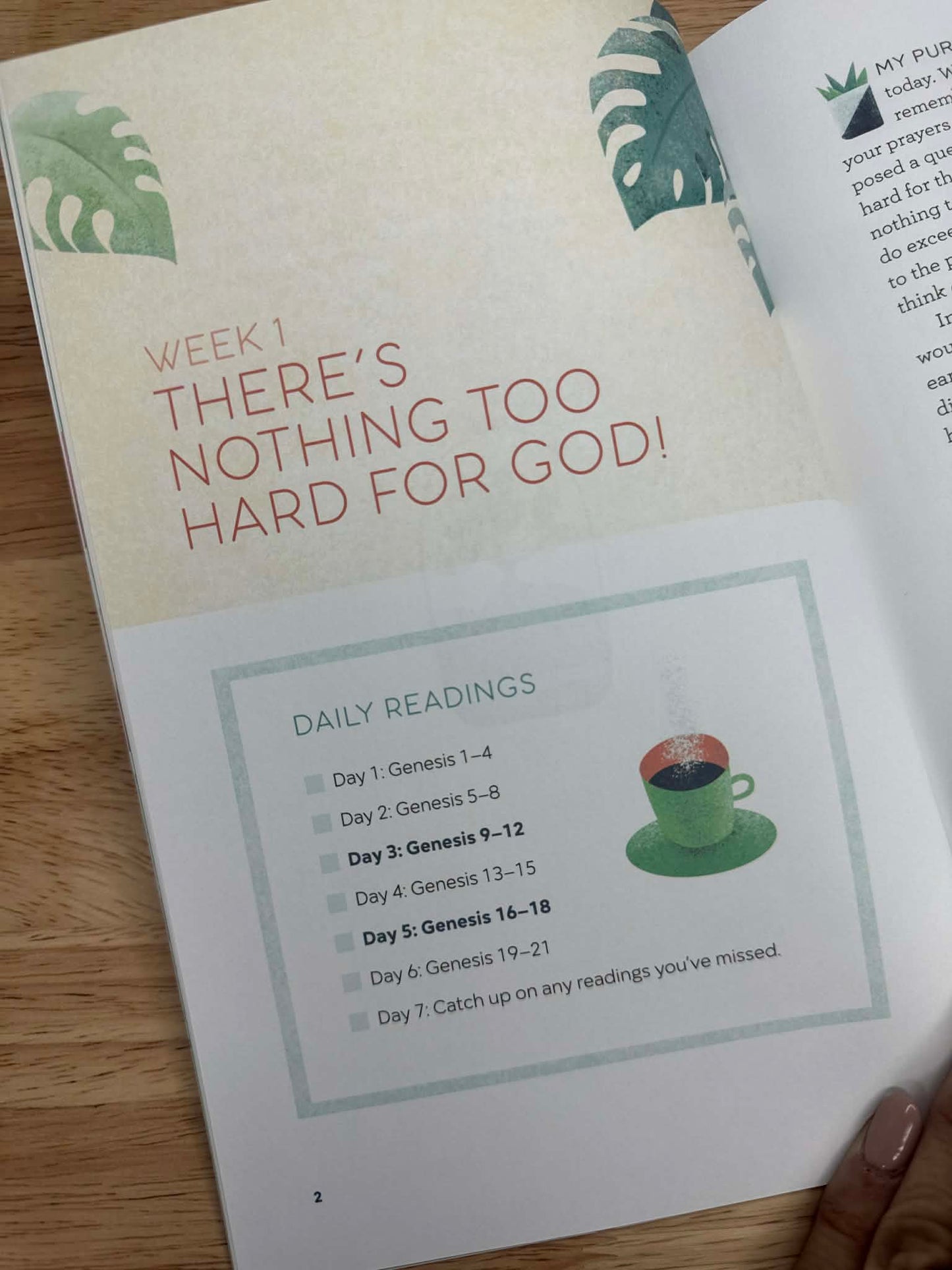 The Bible in 52 Weeks: A Yearlong Bible Study for Women