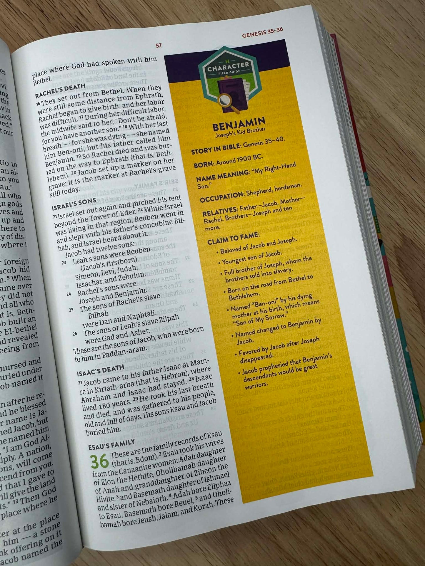 CSB Explorer Bible for Kids, Hardcover