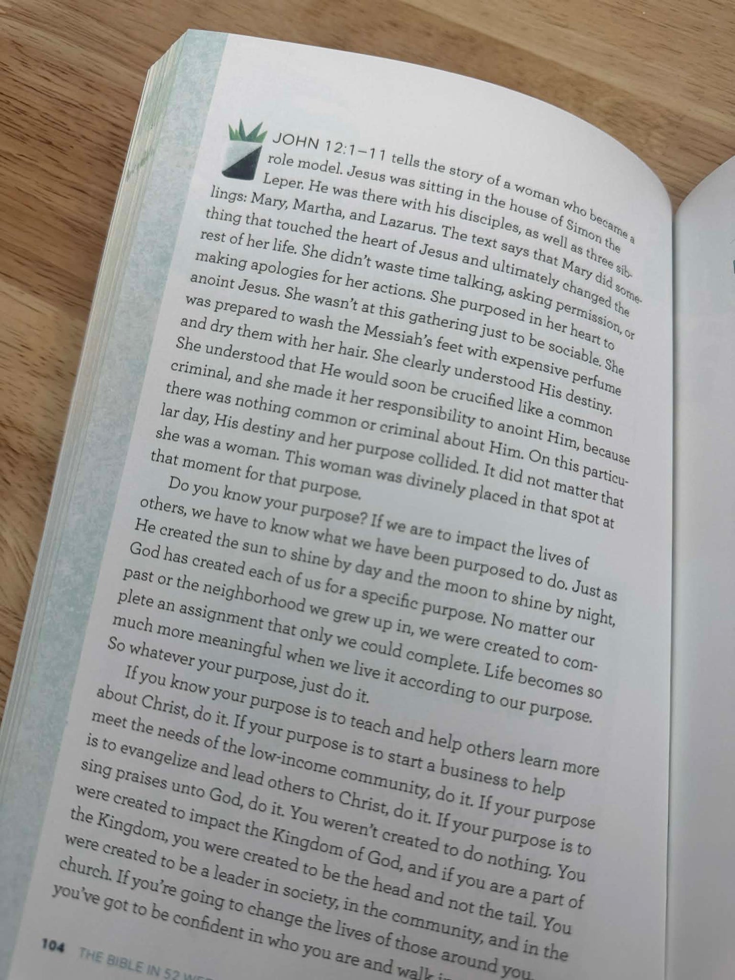 The Bible in 52 Weeks: A Yearlong Bible Study for Women