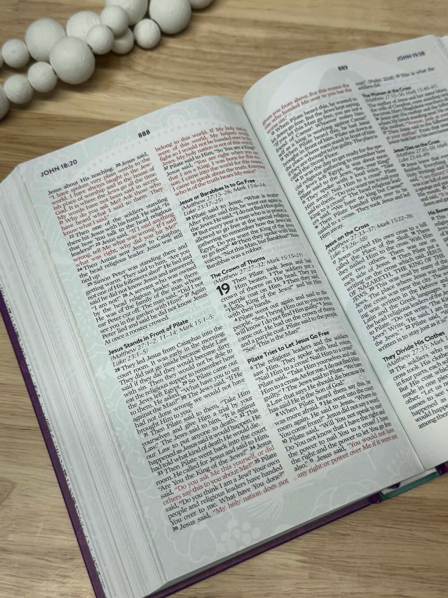 The Courageous Girls Devotional Bible ( FREE Bible verse mug included )