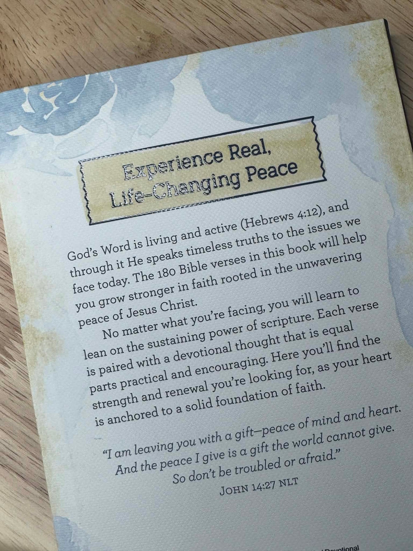 180 Bible Verses to Experience Peace