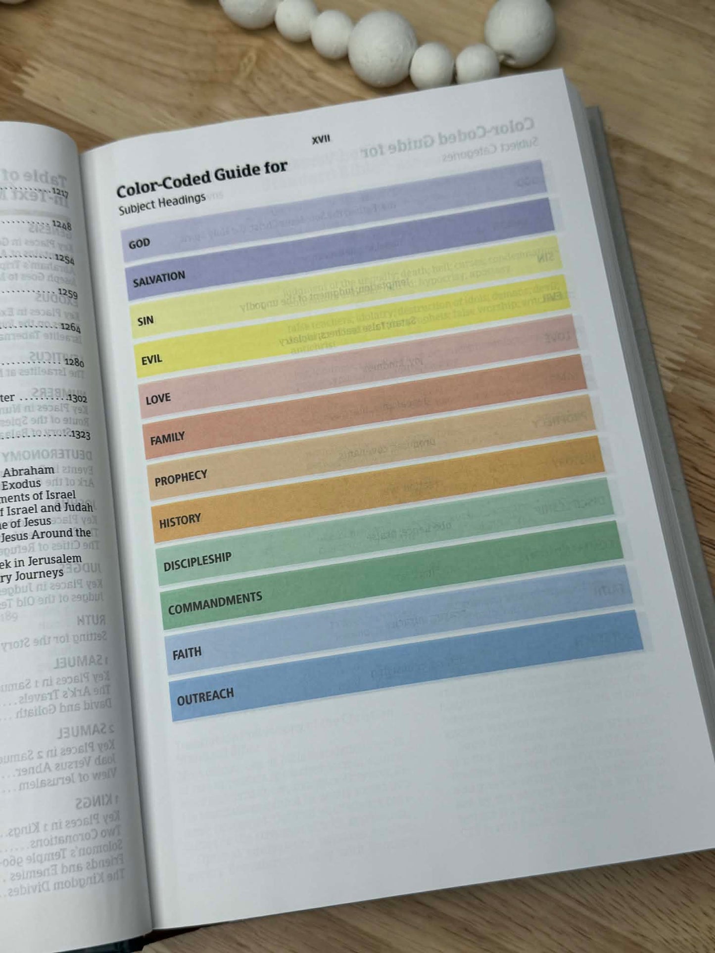 CSB Rainbow Study Bible, Hardcover