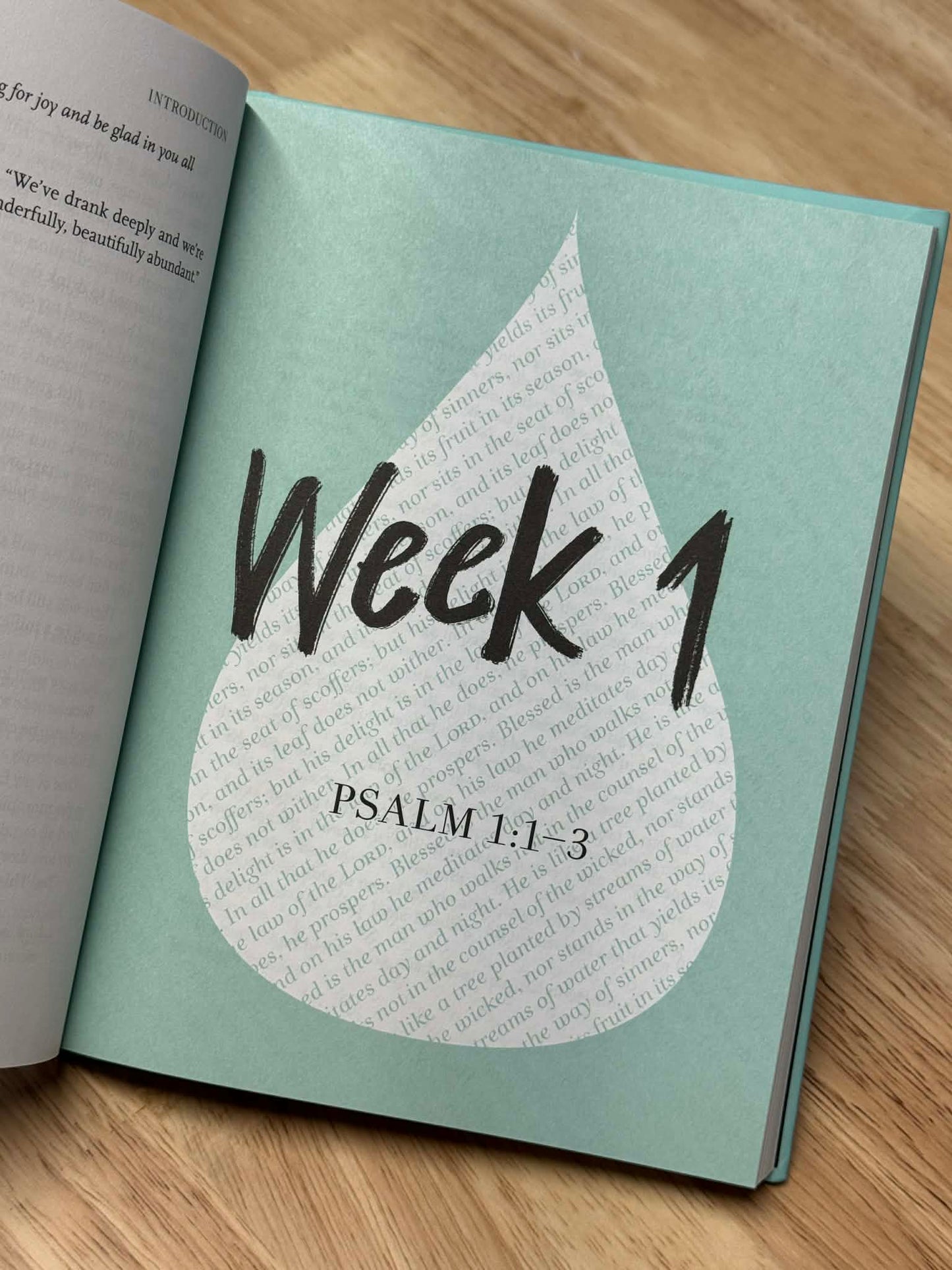 Thirsty: 12 Weeks of Drinking Deeply from God's Word