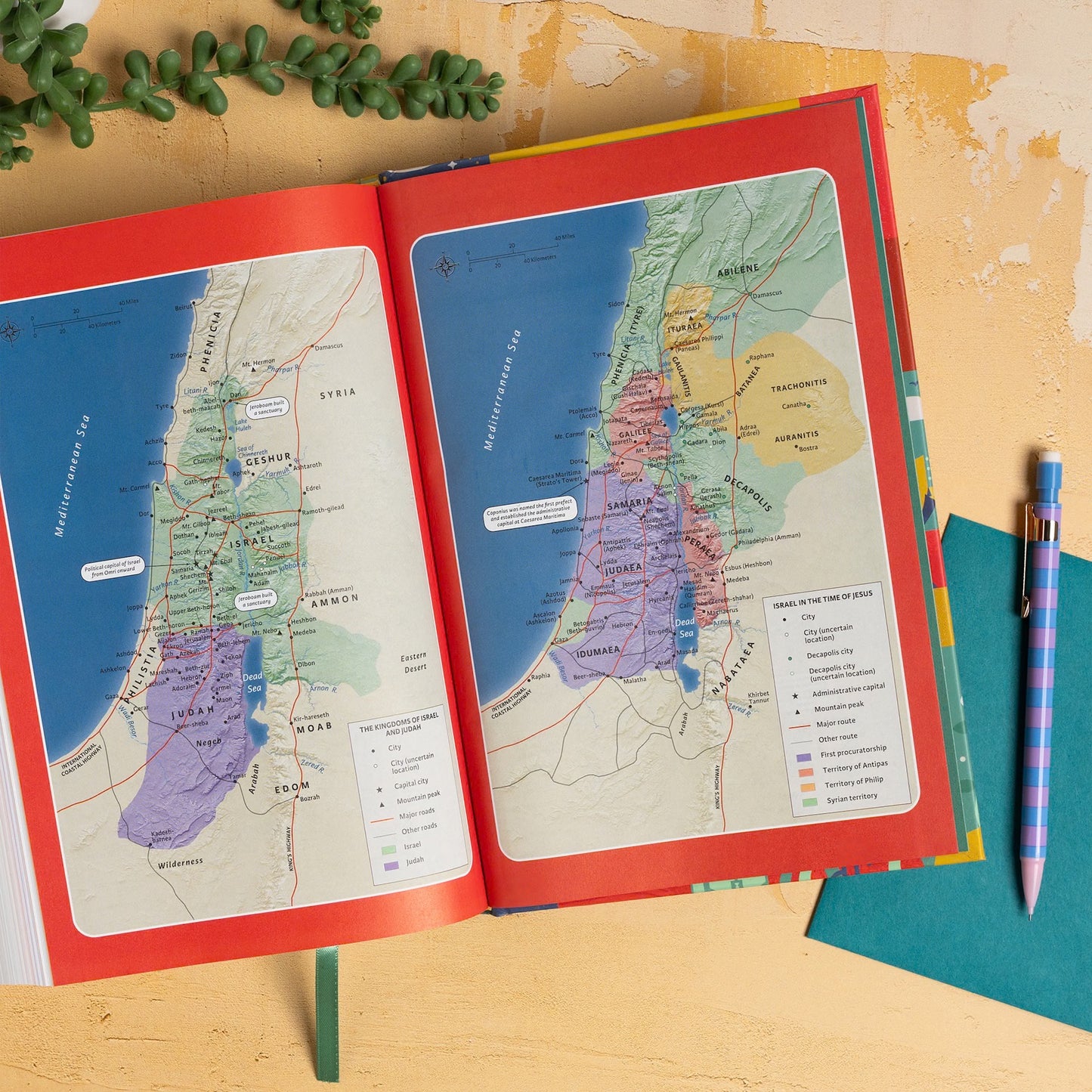 CSB Explorer Bible for Kids, Hardcover