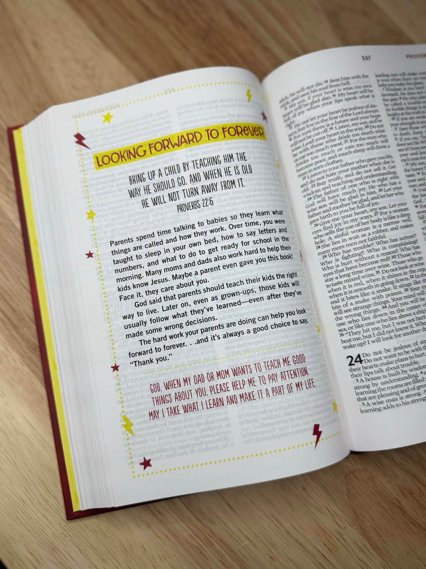 Brave Boys Devotional Bible