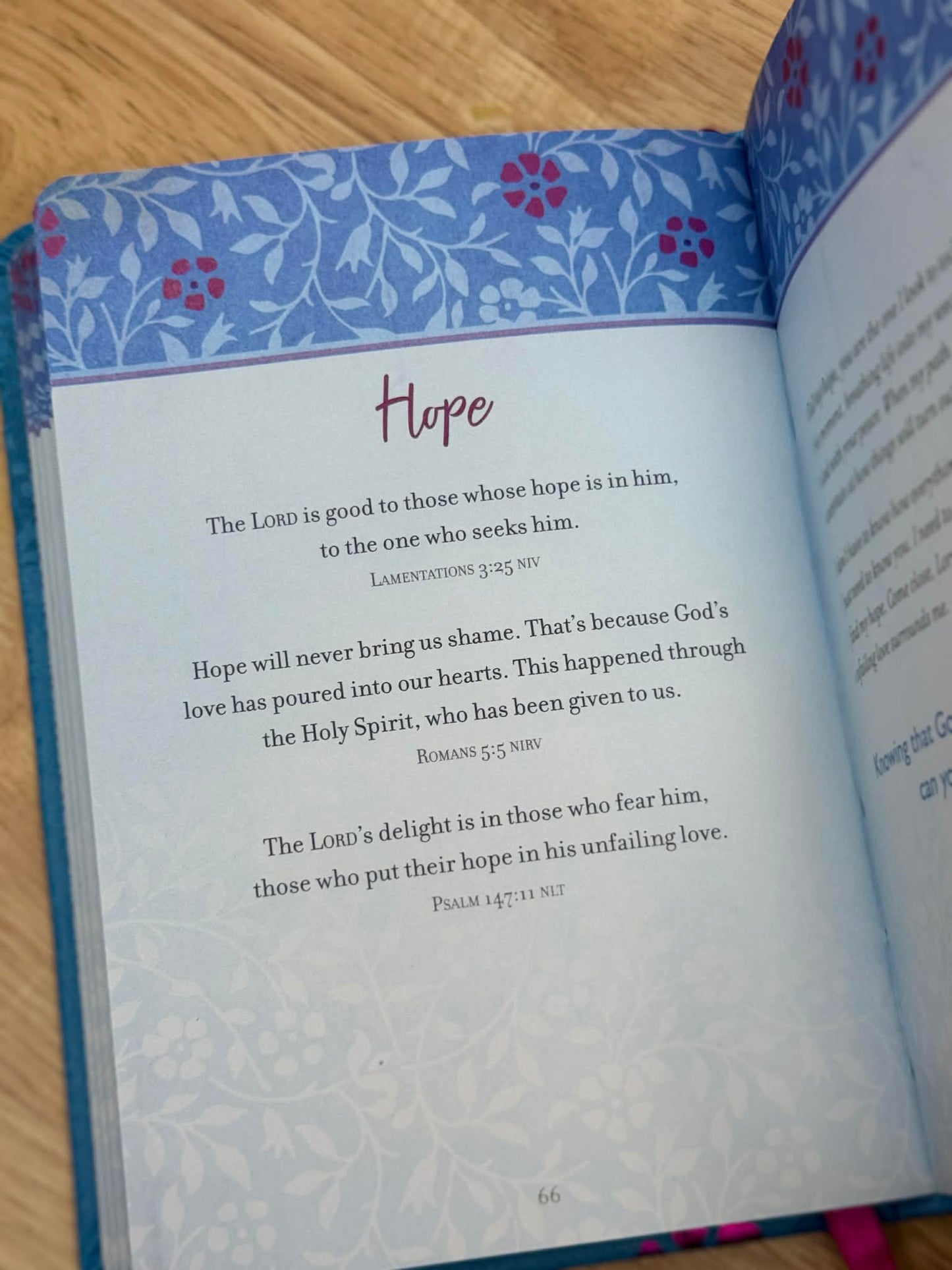 Prayers & Promises for Depression and Anxiety * FREE Wallet Wristlet Included *