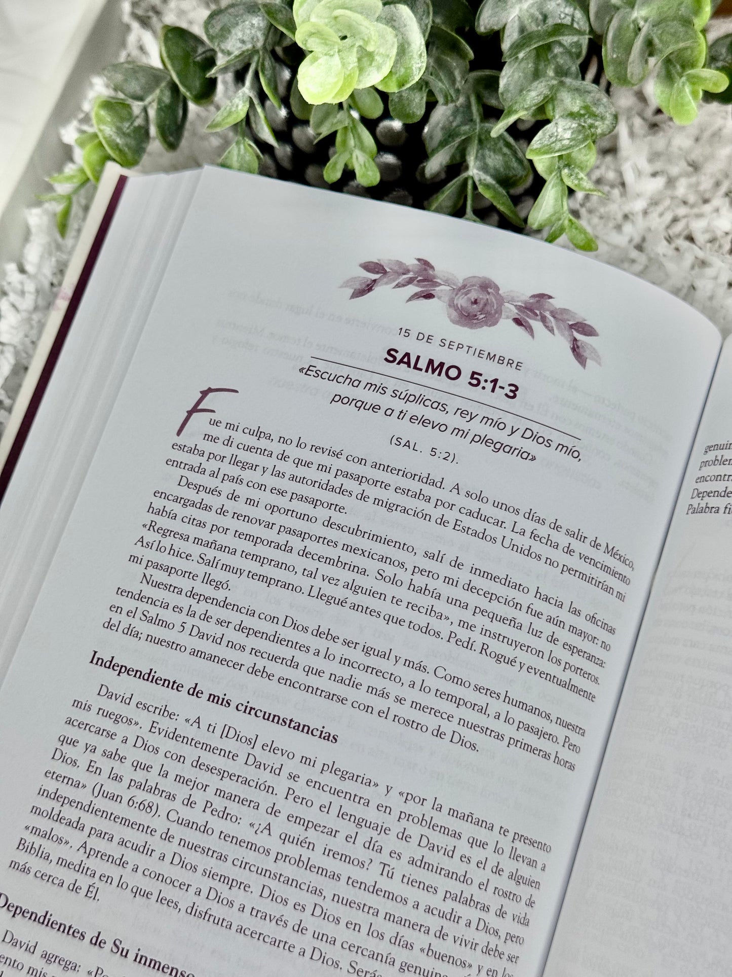 Christian Blessing Box | Faith-Based Gift Box ( Un año en los Salmos )