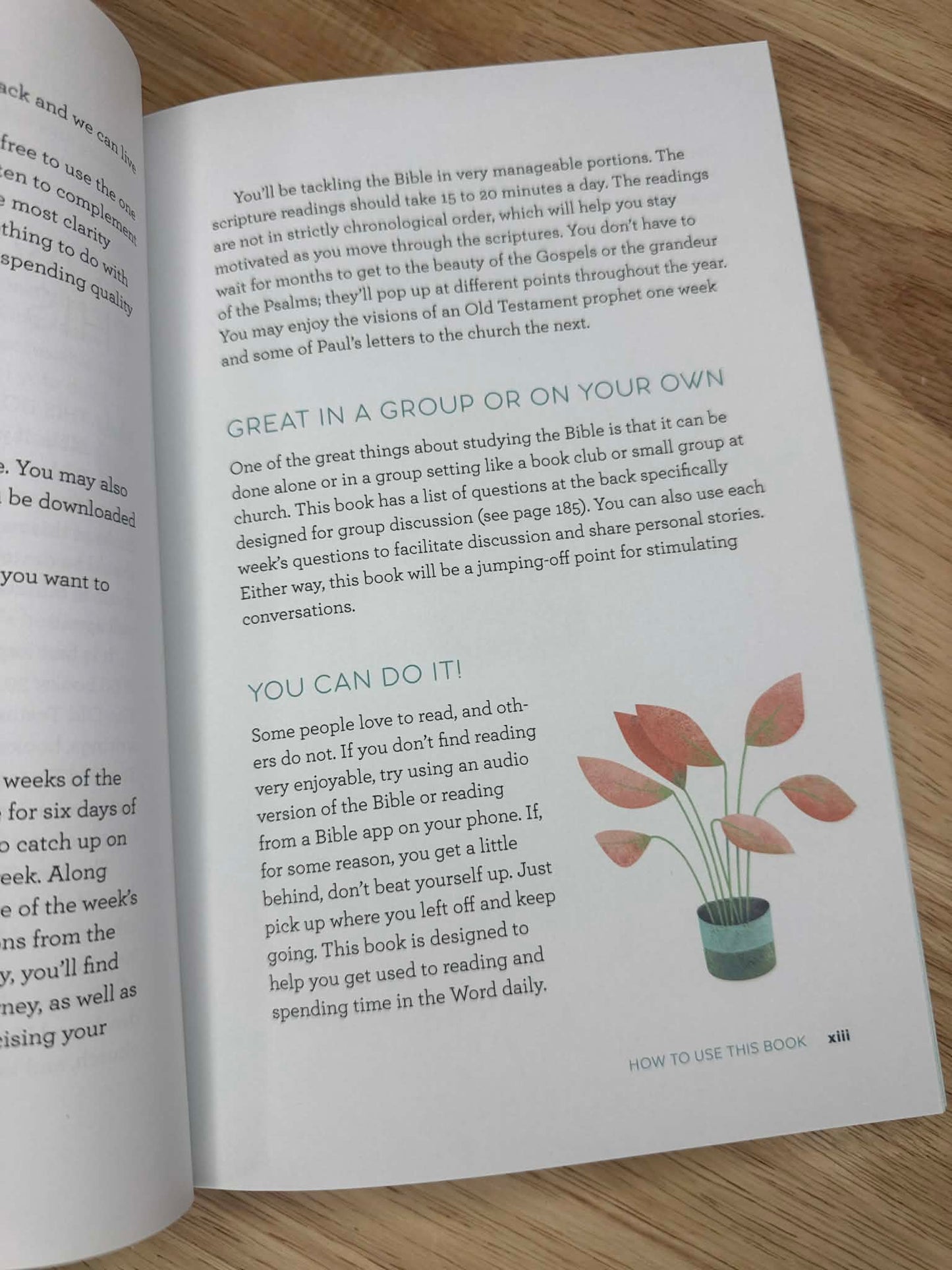 The Bible in 52 Weeks: A Yearlong Bible Study for Women