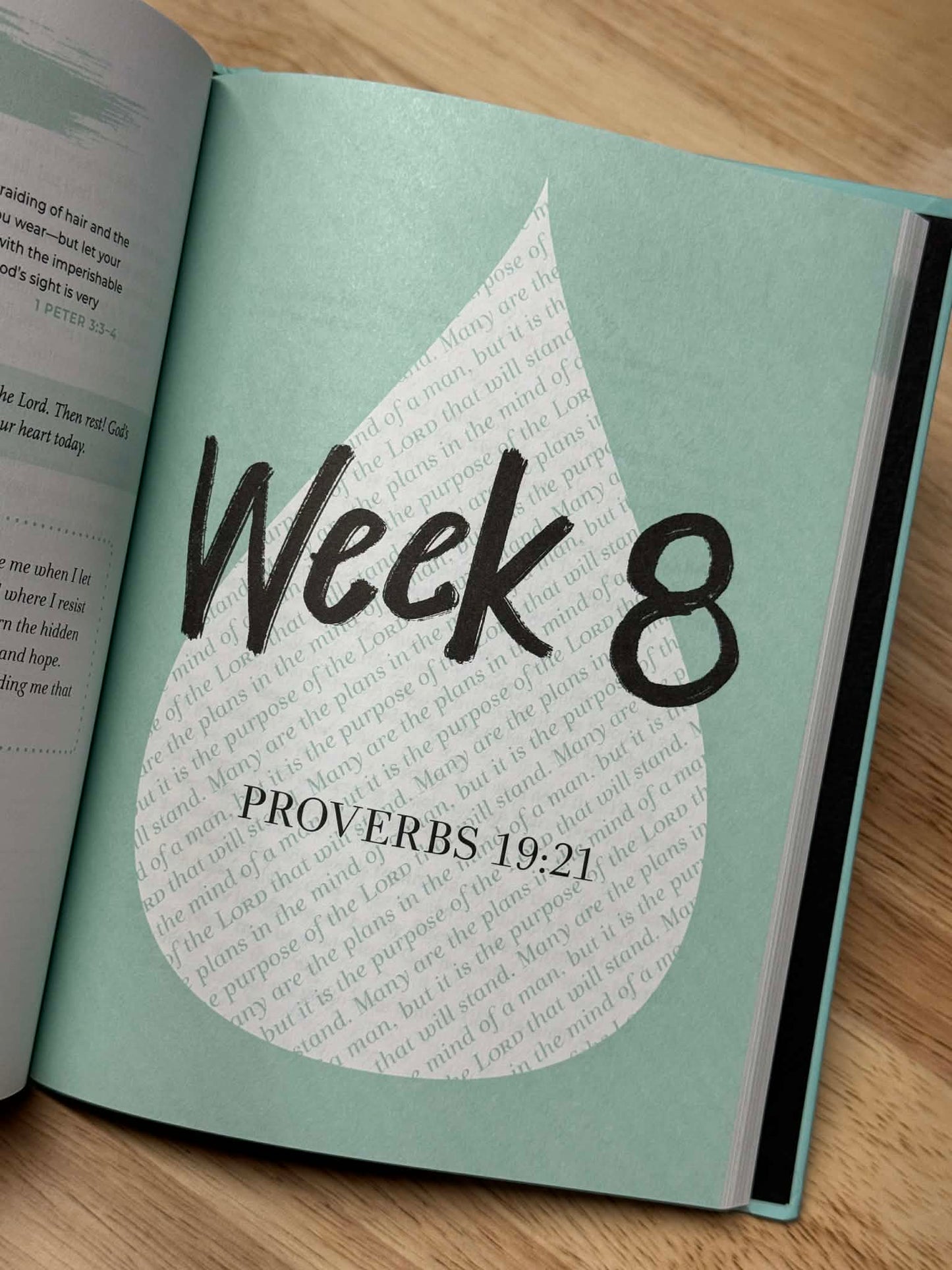 Thirsty: 12 Weeks of Drinking Deeply from God's Word