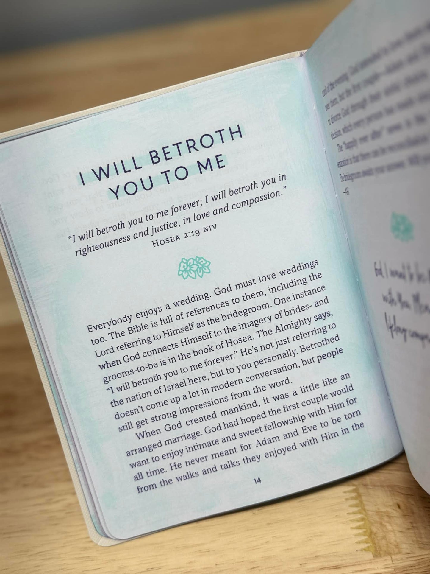 Grace, Not Perfection Devotional