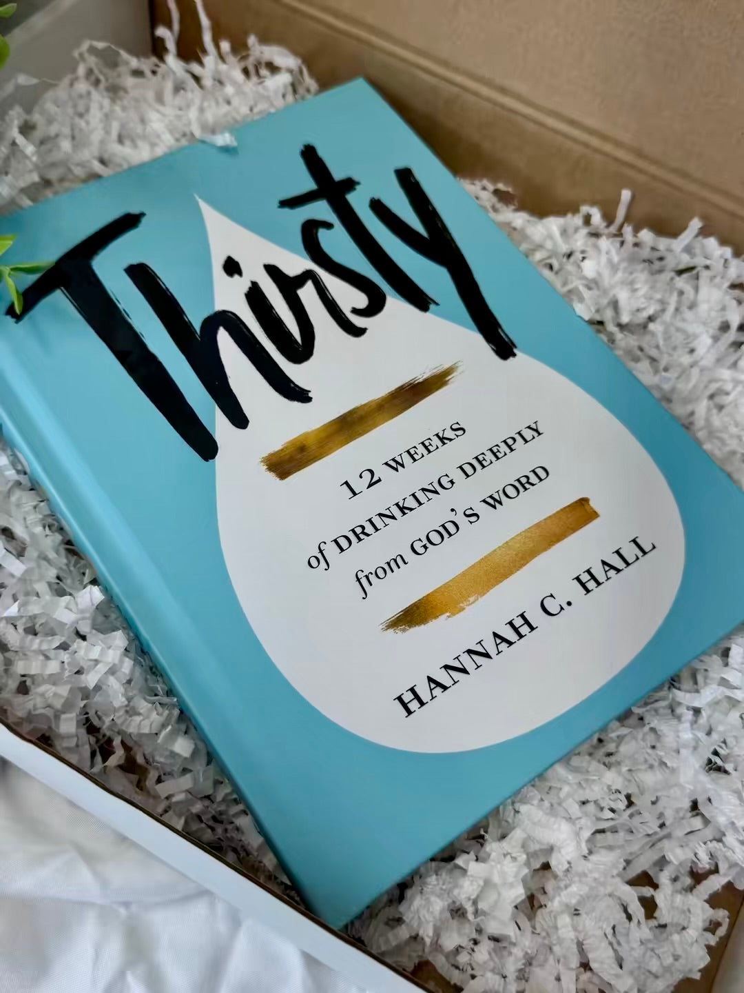 Christian Blessing Box | Faith-Based Gift Box ( Thirsty 12 weeks of drinking from God's word  )