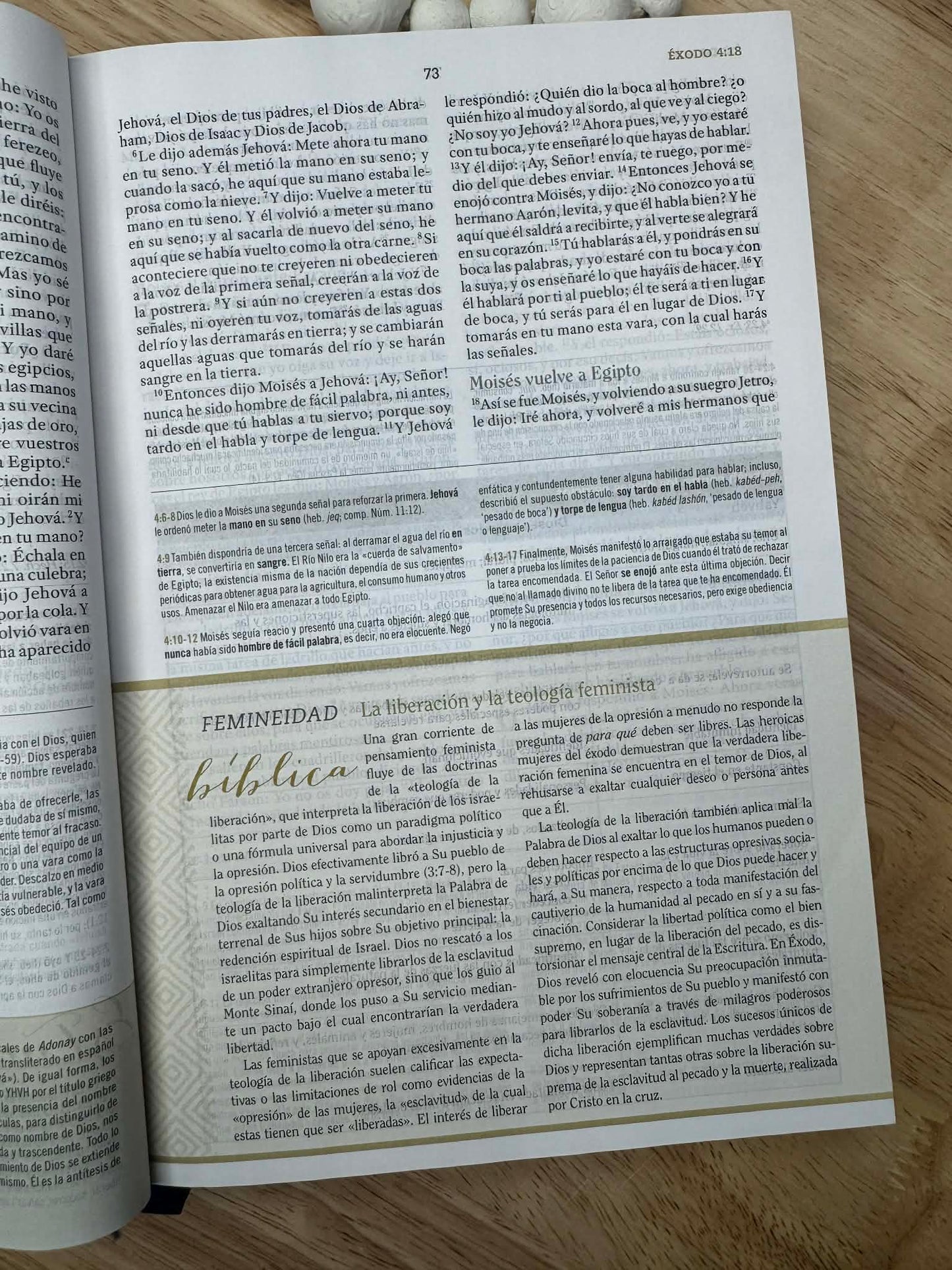 Biblia de estudio para mujeres RVR 1960