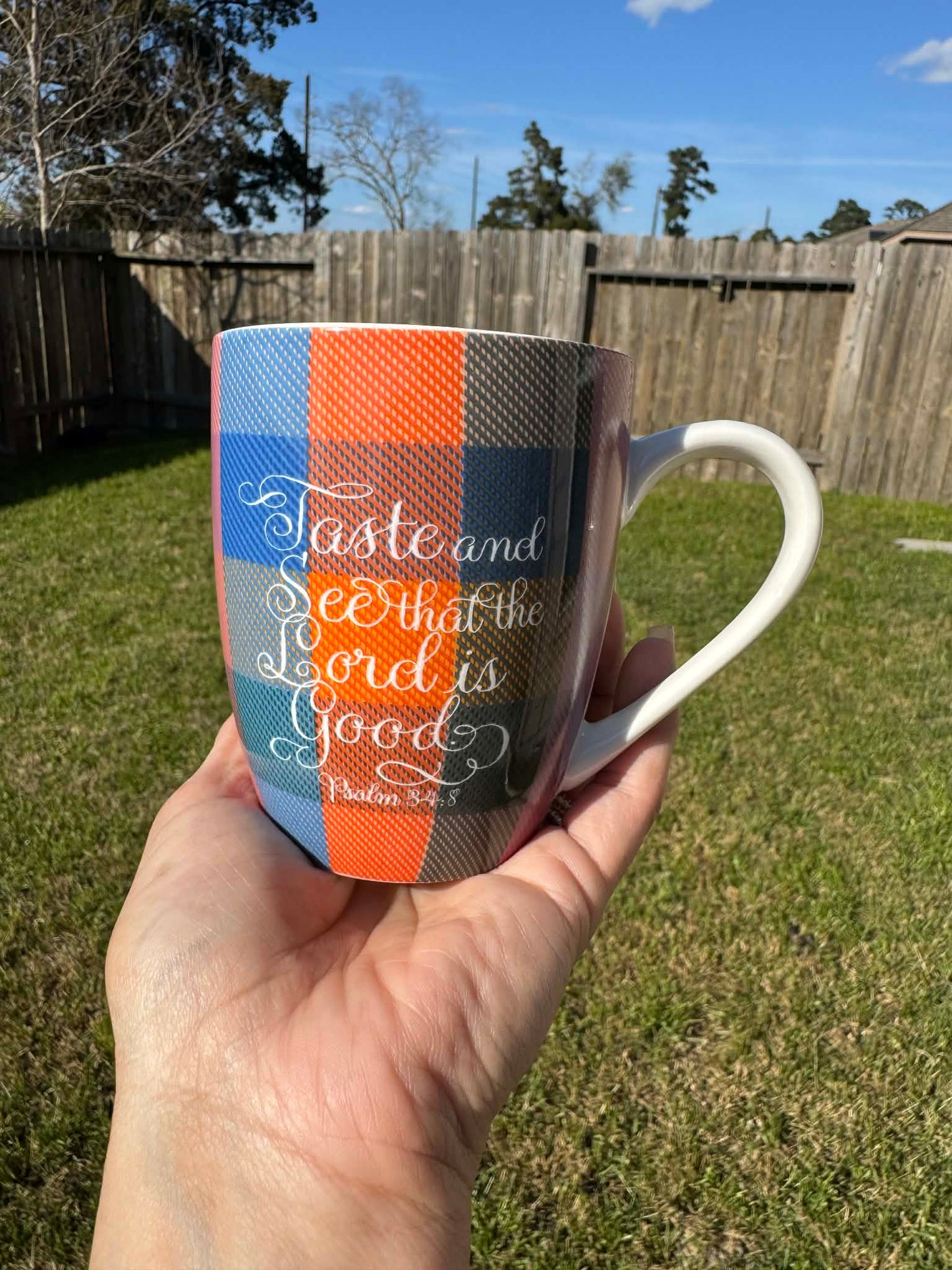taste and see, checked 10 oz mug Psalm 34:8