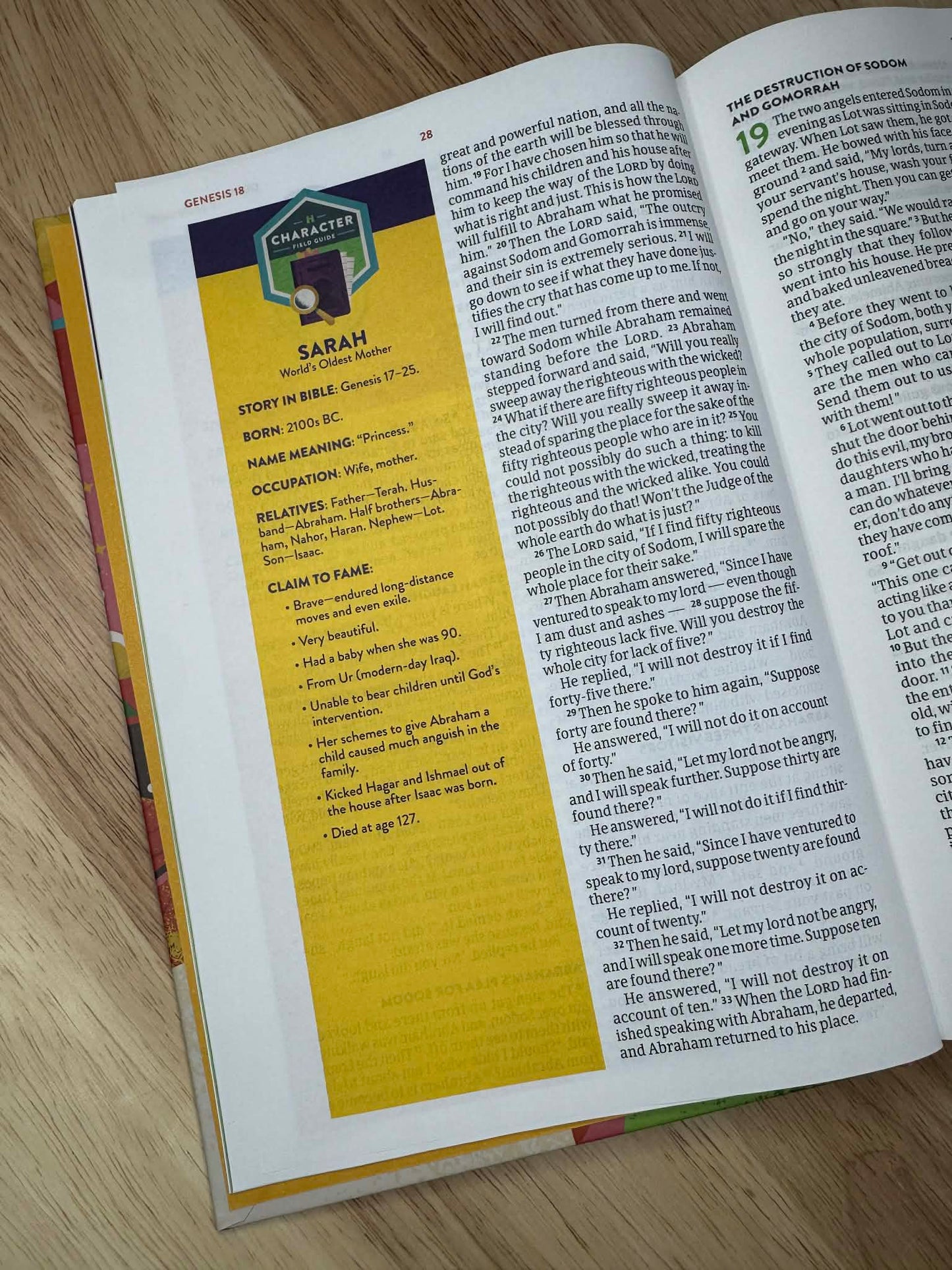 CSB Explorer Bible for Kids, Hardcover