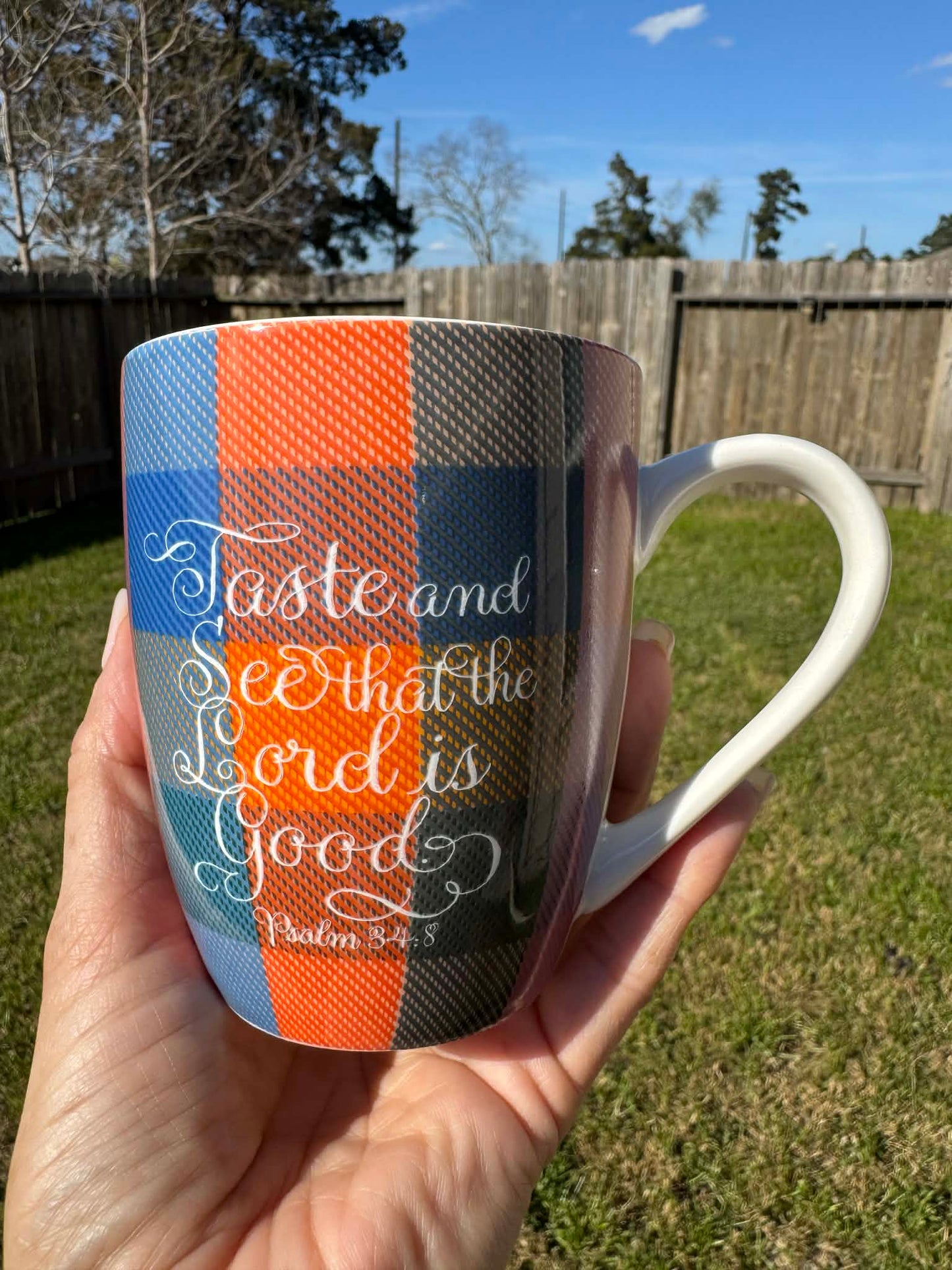 taste and see, checked 10 oz mug Psalm 34:8
