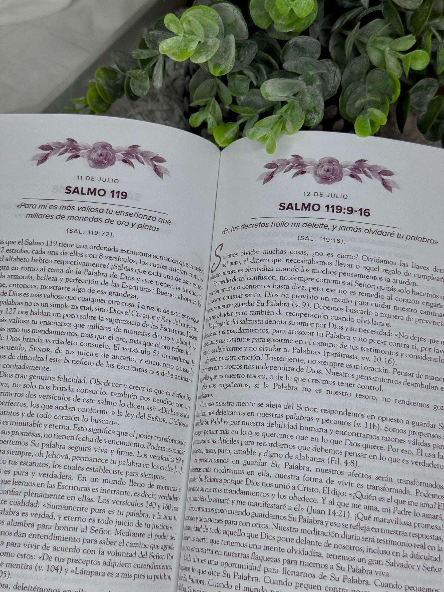 Christian Blessing Box | Faith-Based Gift Box ( Un año en los Salmos )
