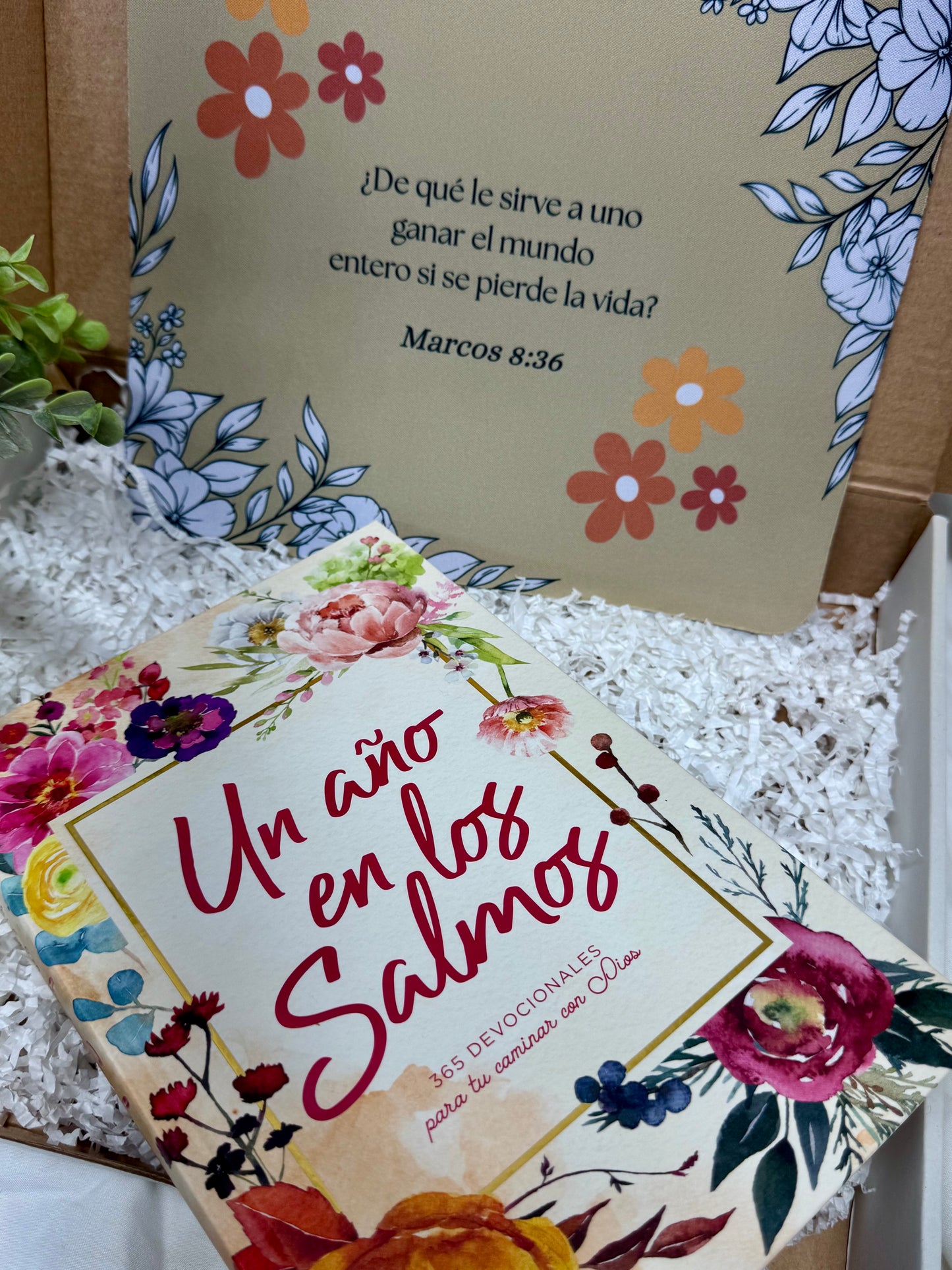 Christian Blessing Box | Faith-Based Gift Box ( Un año en los Salmos )