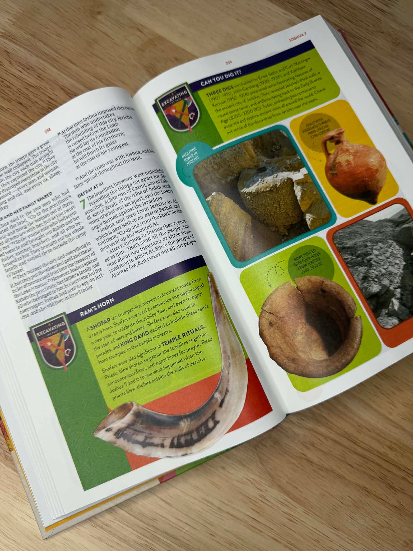 CSB Explorer Bible for Kids, Hardcover