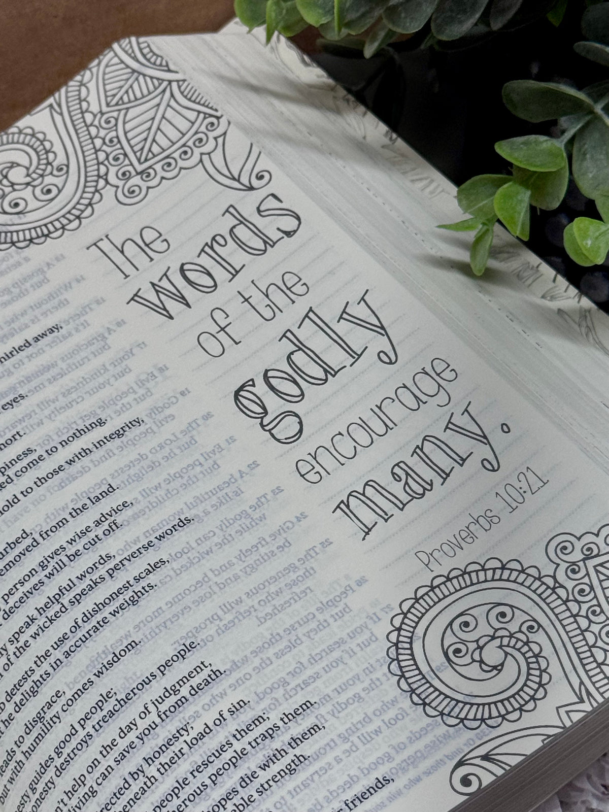 Inspire Bible Gift Box for Women | Christian Bible Gift | Christian Blessing Box | Faith-Filled Gift