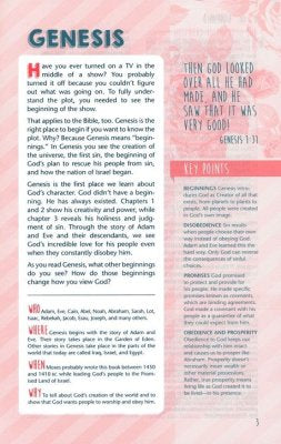 NLT Girls Life Application Study Bible--soft leather-look, teal/pink with flowers