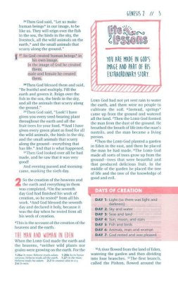 NLT Girls Life Application Study Bible--soft leather-look, teal/pink with flowers