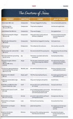 NIV The Woman's Study Bible, Hardcover, Full-Color