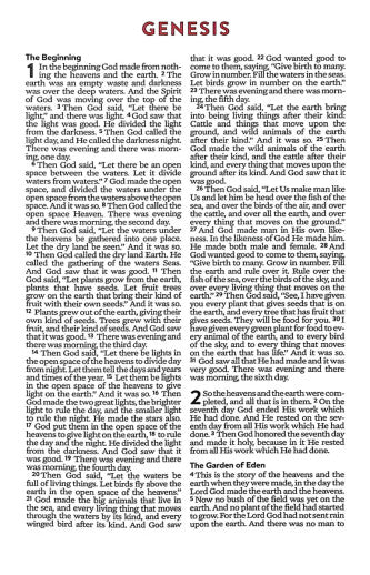 Brave Boys Devotional Bible