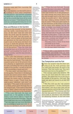 CSB Rainbow Study Bible, Hardcover