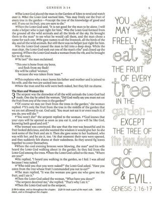 NLT Inspire Bible: The Bible for Coloring & Creative Journaling--softcover, pink