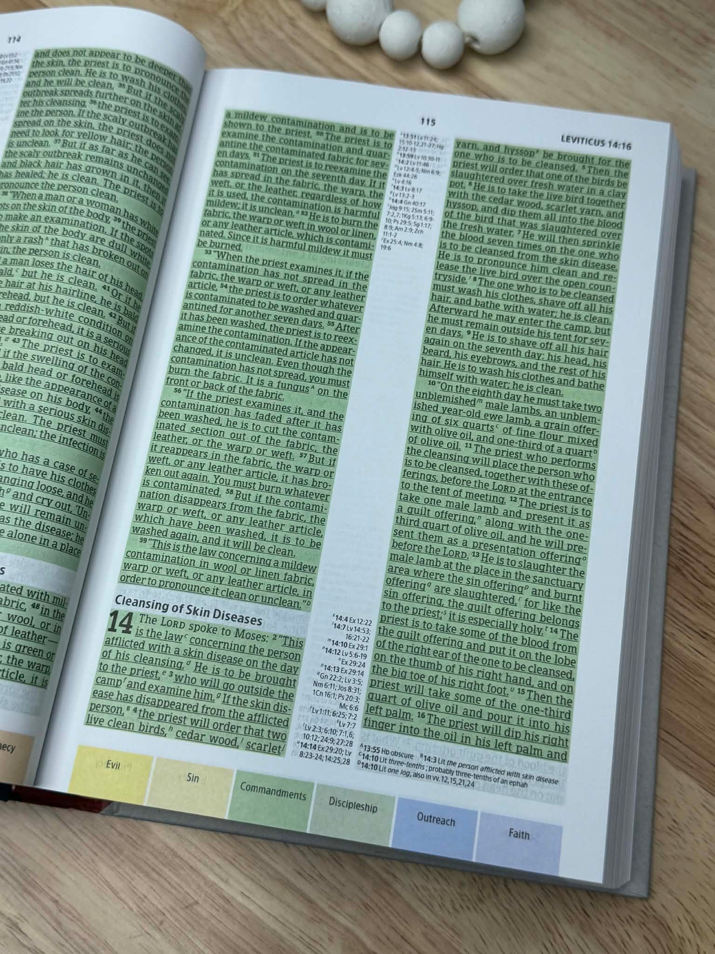 CSB Rainbow Study Bible, Hardcover