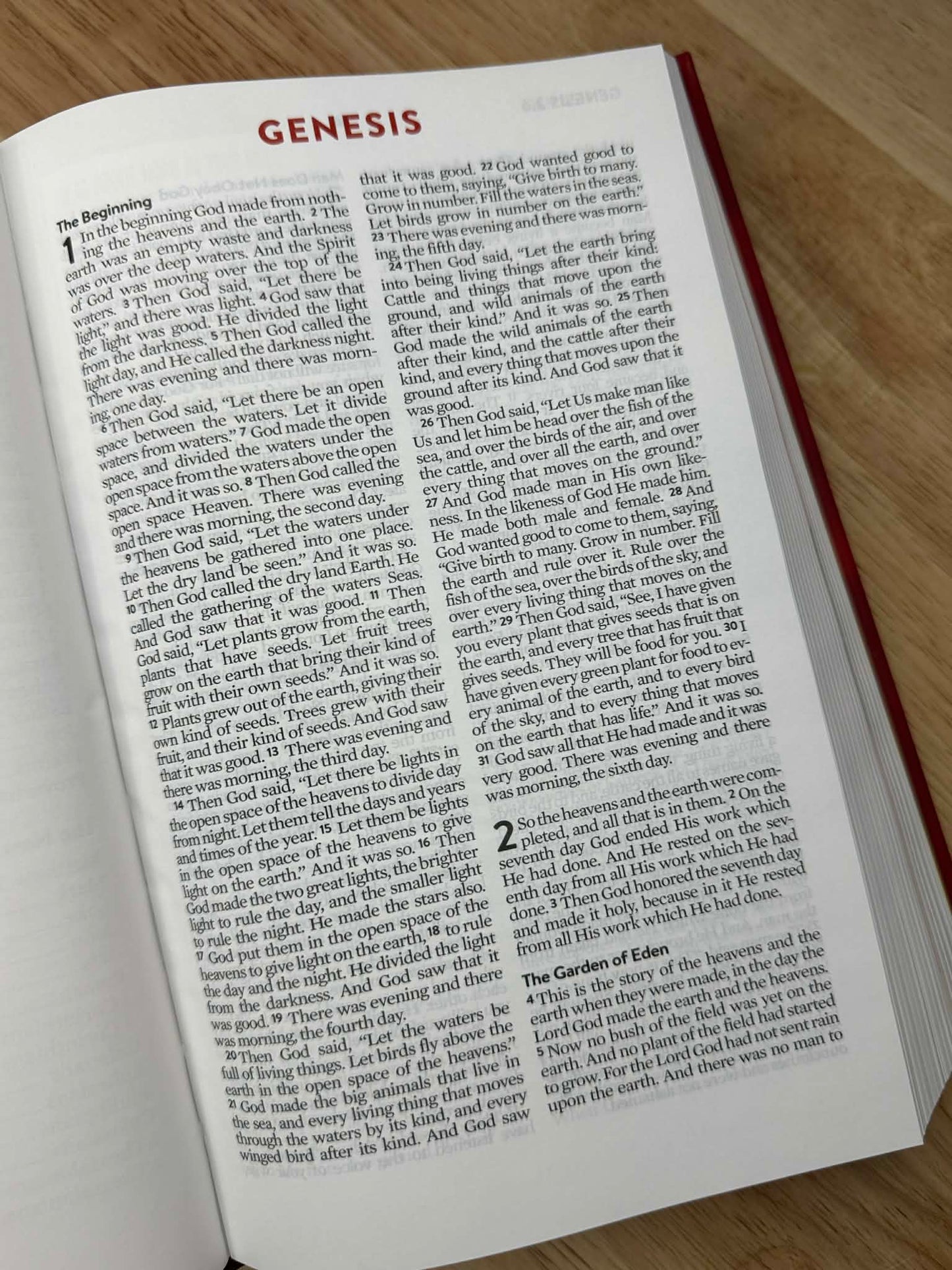 Brave Boys Devotional Bible
