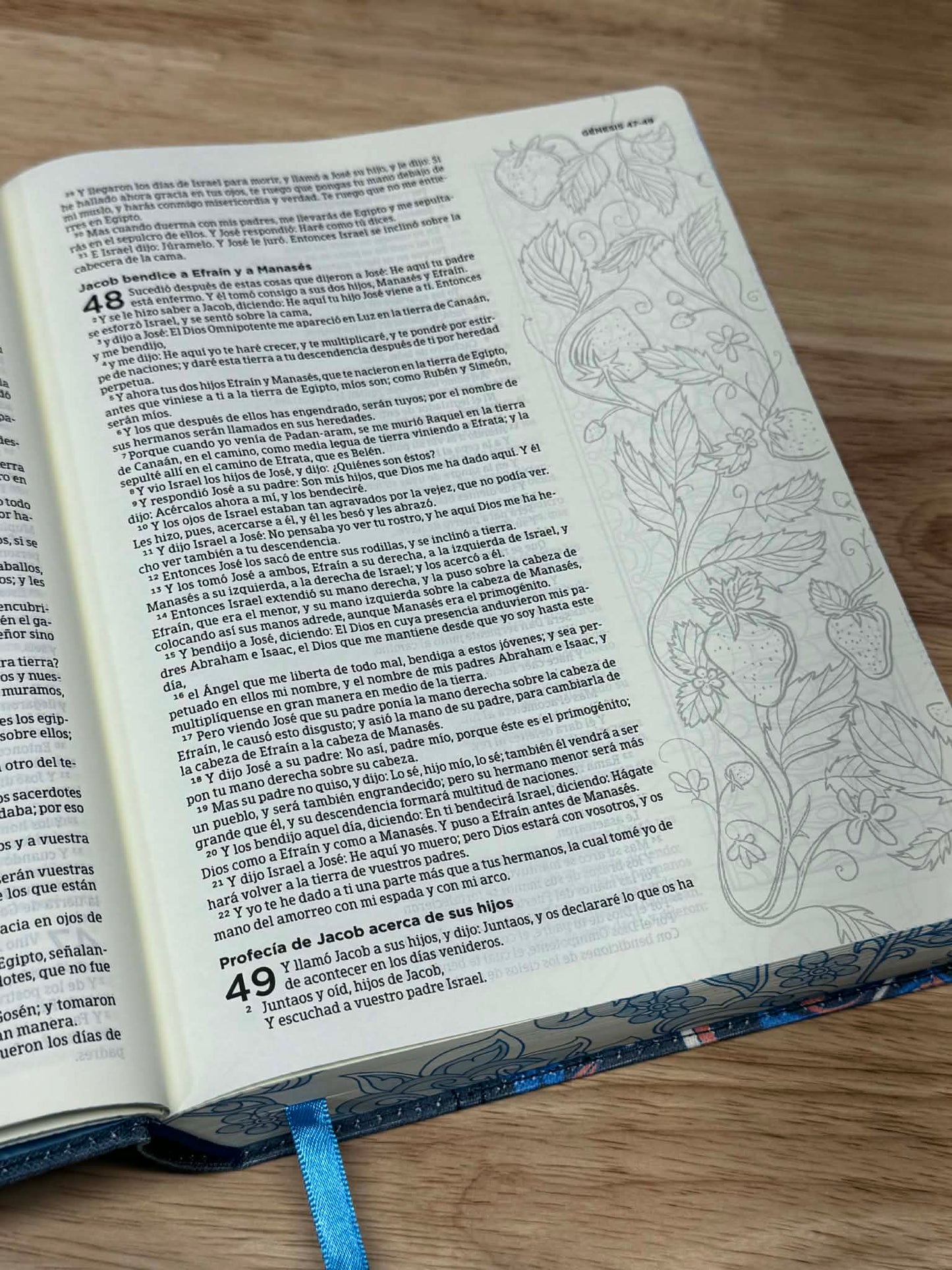 Biblia Reina Valera 1960 de apuntes ( Ilustrada ) Con Cartera GRATIS