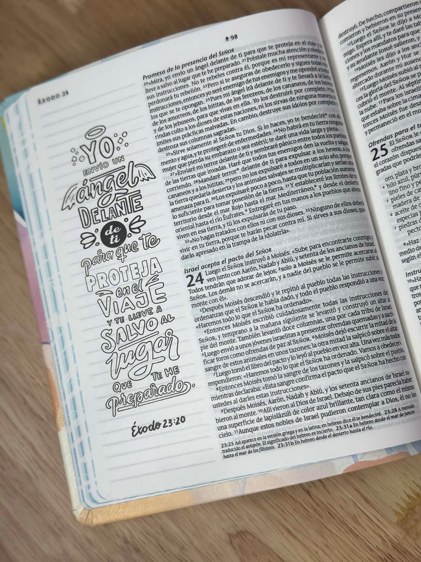 Biblia Inspira NTV con Filament, SentiPiel, Paraíso floral ( Vaso gratis con tu compra )