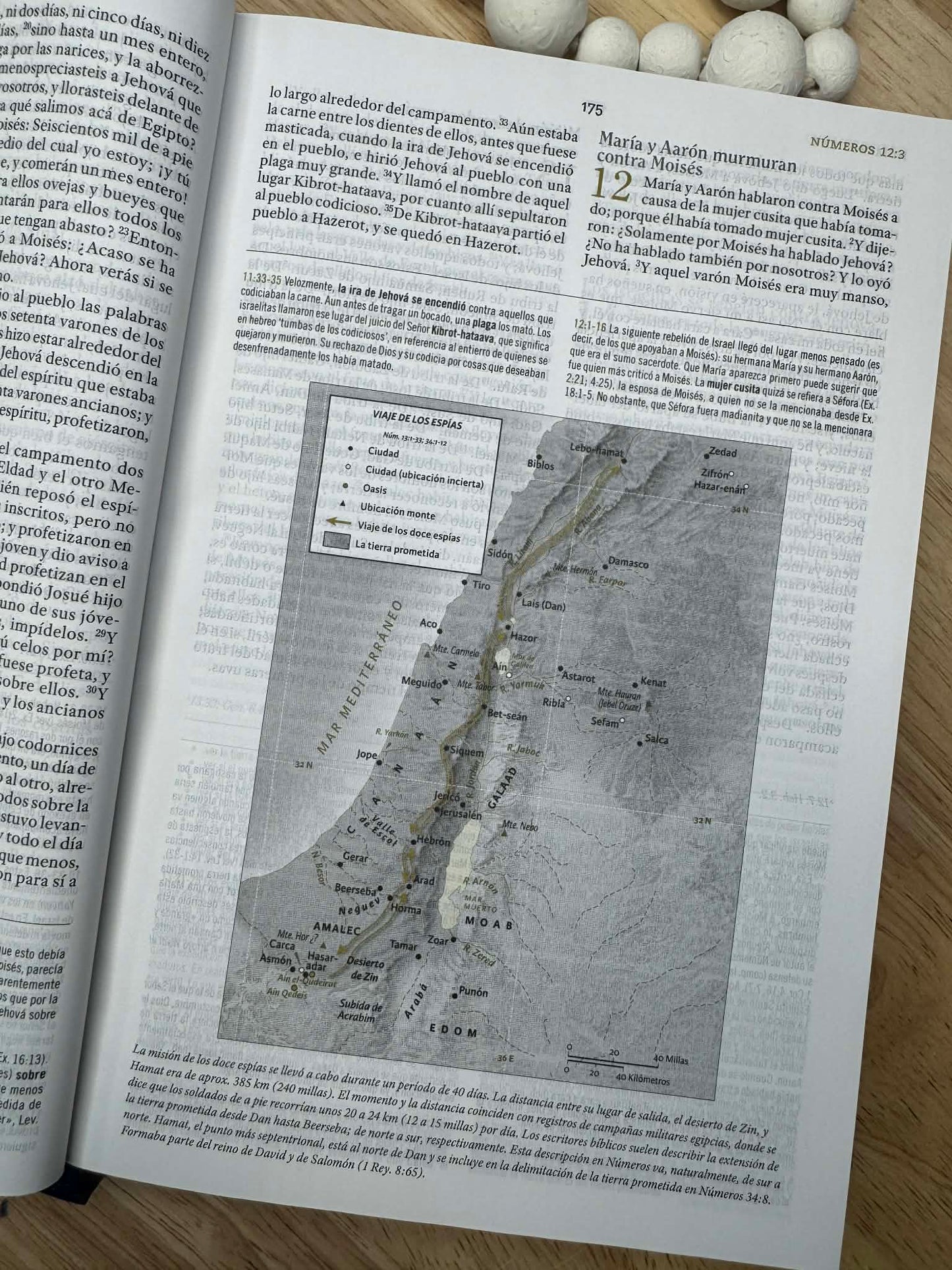 Biblia de estudio para mujeres RVR 1960