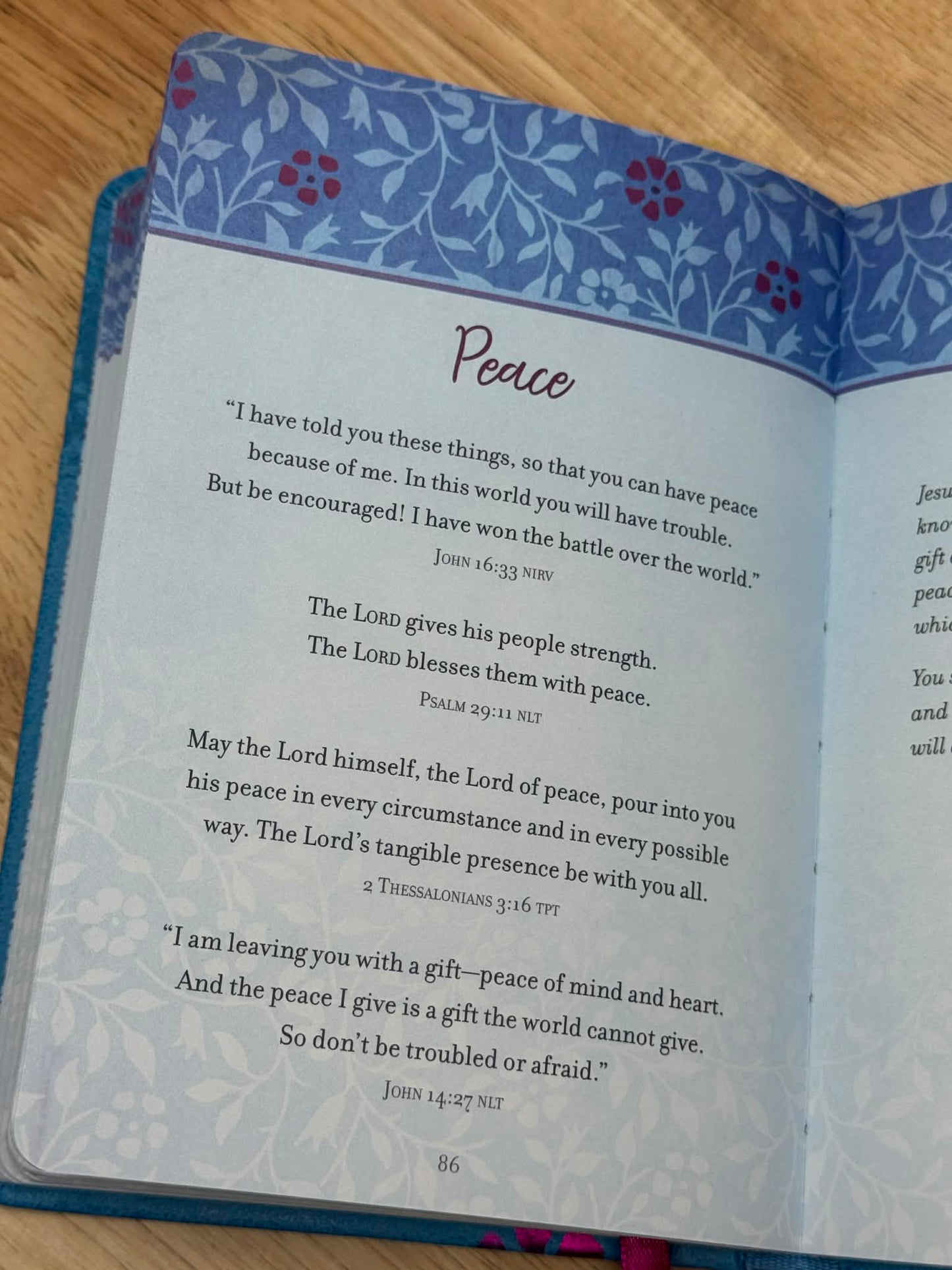 Prayers & Promises for Depression and Anxiety * FREE Wallet Wristlet Included *