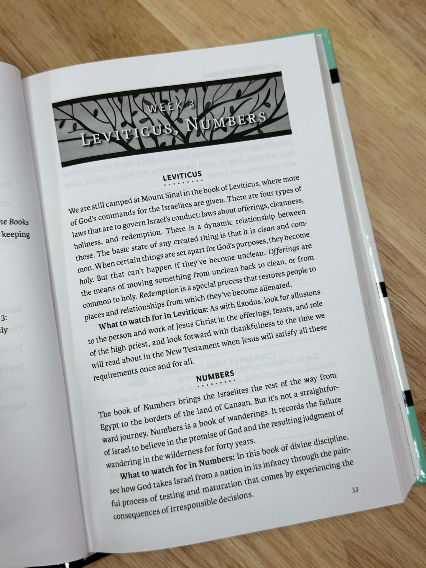 The Books of the Bible Study Journal * FREE Stationary Kit Included *