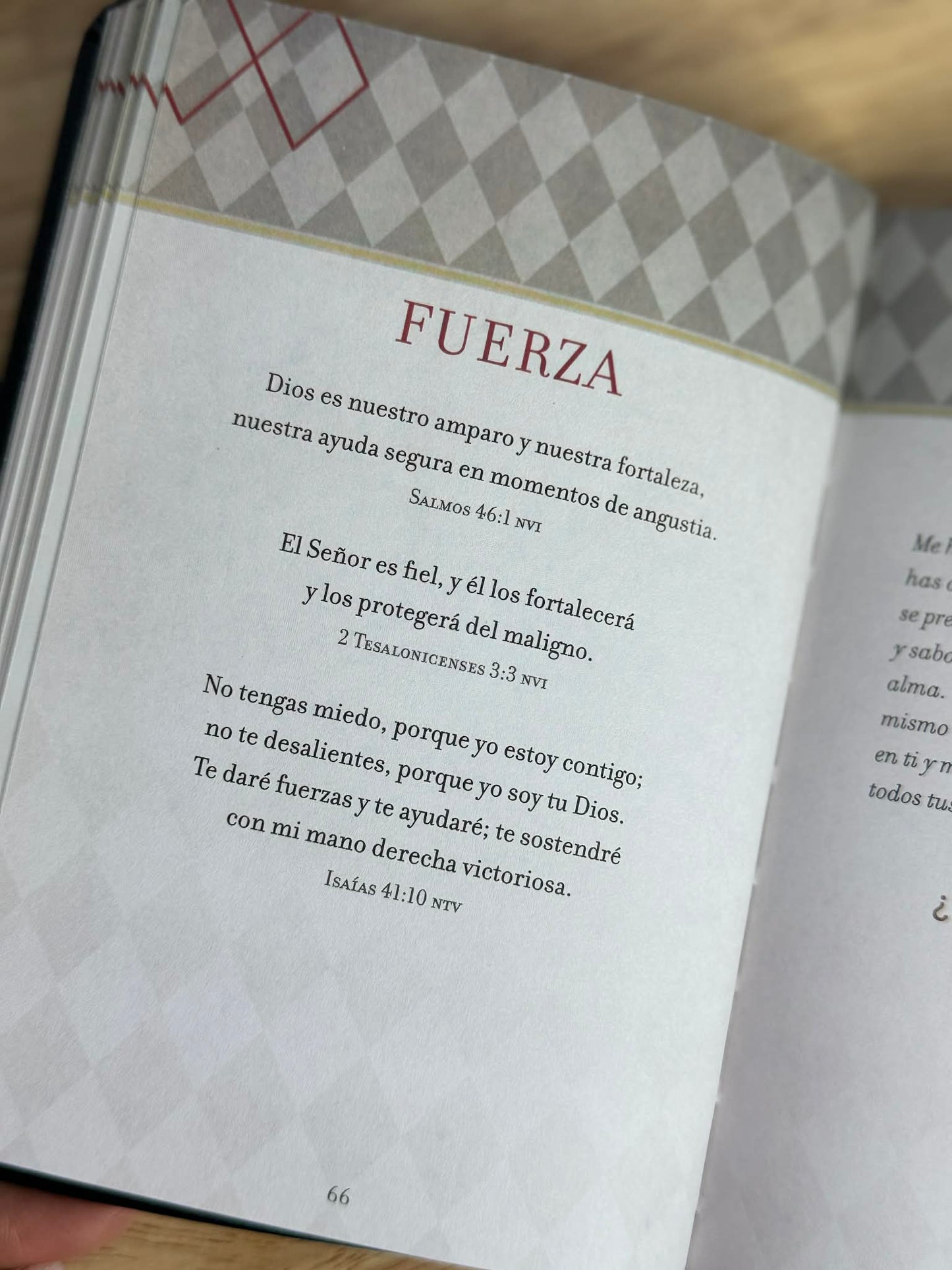 Oraciones y promesas para los hombres (Spanish Devotional)