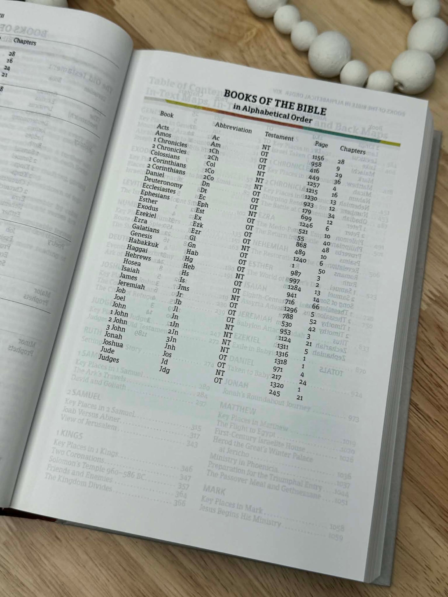 CSB Rainbow Study Bible, Hardcover