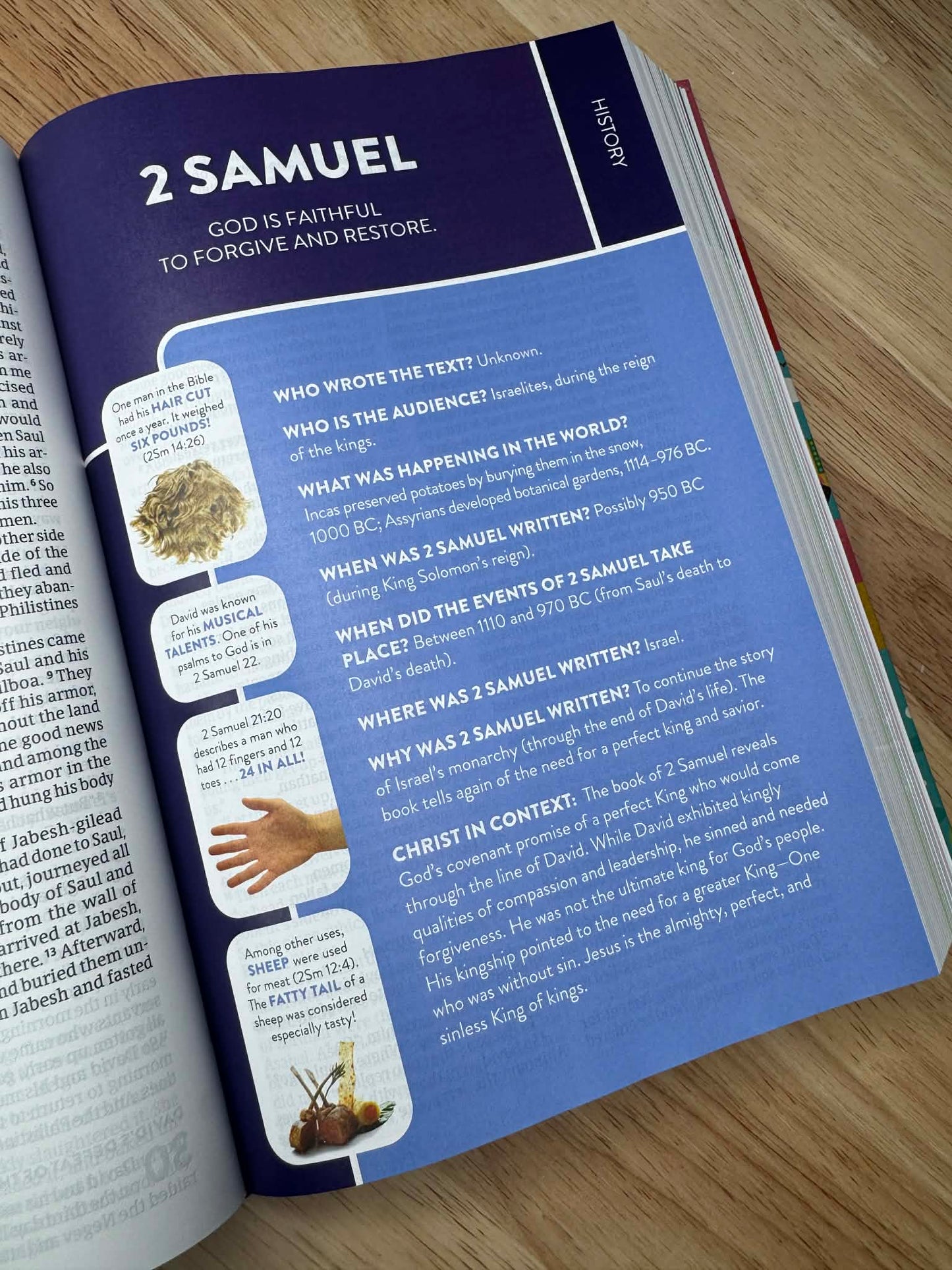 CSB Explorer Bible for Kids, Hardcover